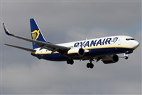 ©Alfonso Solís - Asociación Canary Islands Spotting. Click to see full size photo ©Alfonso Solís - Asociación Canary Islands Spotting. Click to see full size photo