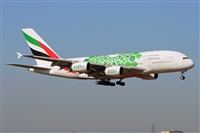 Miguel A. gueda Rguez.  (CANARY ISLANDS SPOTTING). Click to see full size photo