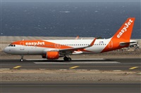 Alfonso Sols - Asociacin Canary Islands Spotting. Click to see full size photo