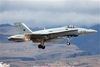 Florencio Martn Melin - Lanzarote Spotters. Click to see full size photo