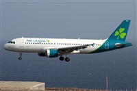 ©Alfonso Solís - Asociación Canary Islands Spotting. Click to see full size photo ©Alfonso Solís - Asociación Canary Islands Spotting. Click to see full size photo