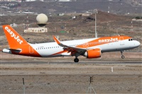 Alfonso Sols - Asociacin Canary Islands Spotting. Click to see full size photo