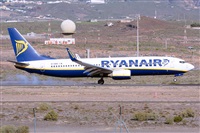 Miguel A. gueda Rguez.  (CANARY ISLANDS SPOTTING). Haz click para ampliar
