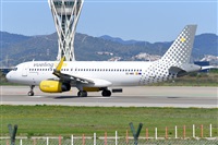 Miguel A. gueda Rguez.  (CANARY ISLANDS SPOTTING). Click to see full size photo