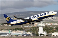 Alfonso Sols - Asociacin Canary Islands Spotting. Click to see full size photo