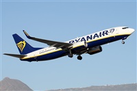 ©Alfonso Solís - Asociación Canary Islands Spotting. Click to see full size photo ©Alfonso Solís - Asociación Canary Islands Spotting. Click to see full size photo