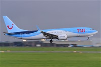 Miguel A. gueda Rguez.  (CANARY ISLANDS SPOTTING). Click to see full size photo