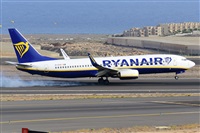 Miguel A. gueda Rguez.  (CANARY ISLANDS SPOTTING). Click to see full size photo