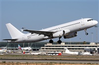 Alfonso Sols - Asociacin Canary Islands Spotting. Click to see full size photo