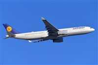 Miguel A. gueda Rguez.  (CANARY ISLANDS SPOTTING). Click to see full size photo