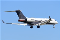 Miguel A. gueda Rguez.  (CANARY ISLANDS SPOTTING). Click to see full size photo