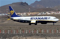 Alfonso Sols - Asociacin Canary Islands Spotting. Haz click para ampliar