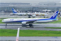 Miguel A. gueda Rguez.  (CANARY ISLANDS SPOTTING). Click to see full size photo