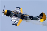 Tams. Click to see full size photo