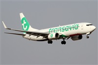 ©Alfonso Solís - Asociación Canary Islands Spotting. Click to see full size photo ©Alfonso Solís - Asociación Canary Islands Spotting. Click to see full size photo