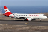Alfonso Sols - Asociacin Canary Islands Spotting. Click to see full size photo