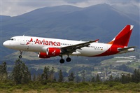 �La Roche Spotters. Click to see full size photo