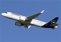 ©Javier Rodríguez. Click to see full size photo ©Javier Rodríguez. Click to see full size photo