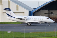 �Miguel A. �gueda Rguez.  (CANARY ISLANDS SPOTTING). Click to see full size photo