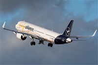 �Daniel Vergara Pineda. Click to see full size photo