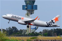 �Miguel A. �gueda Rguez.  (CANARY ISLANDS SPOTTING). Click to see full size photo