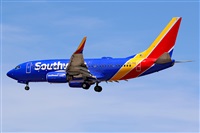 �Michael Barker. Click to see full size photo