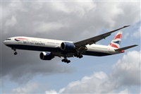 �Alfonso Sol�s - Asociaci�n Canary Islands Spotting. Click to see full size photo