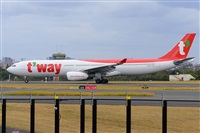 �Miguel A. �gueda Rguez.  (CANARY ISLANDS SPOTTING). Click to see full size photo