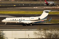 �Sergio Cambronero - Asociaci�n AIRE. Click to see full size photo