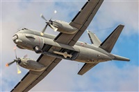 �Manuel Acosta Zapata LMDT Spotters. Click to see full size photo