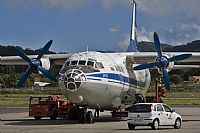 Javier de la Cruz - CANARY ISLANDS SPOTTING. Haz click para ampliar