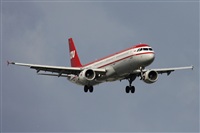 Jos Miguel Bernases - Noisy Spotters. Click to see full size photo