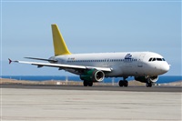 Javier de la Cruz - CANARY ISLANDS SPOTTING. Click to see full size photo