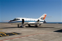 Javier de la Cruz - CANARY ISLANDS SPOTTING. Click to see full size photo