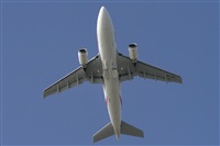 Jos Miguel Bernases - Noisy Spotters. Click to see full size photo
