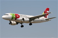Rodrigo Carvalho - Noisy Spotters. Click to see full size photo