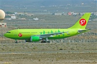Miguel A. gueda Rguez.  (CANARY ISLANDS SPOTTING). Haz click para ampliar