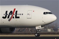 Jos Miguel Bernases - Noisy Spotters. Click to see full size photo