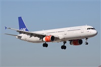 Alfonso Sols - Asociacin Canary Islands Spotting. Click to see full size photo