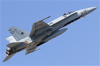 Gerardo A. Prez   Canary Islands Spotting. Click to see full size photo