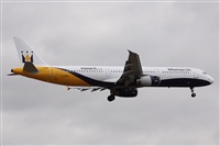 ©Alfonso Solís - Asociación Canary Islands Spotting. Click to see full size photo ©Alfonso Solís - Asociación Canary Islands Spotting. Click to see full size photo