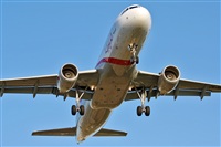 Rodrigo Carvalho - Noisy Spotters. Click to see full size photo
