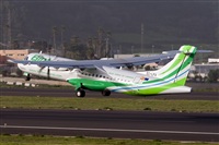 Javier de la Cruz - CANARY ISLANDS SPOTTING. Haz click para ampliar