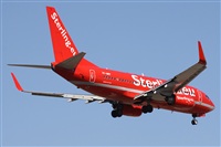 Alfonso Sols - Asociacin Canary Islands Spotting. Haz click para ampliar
