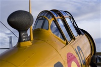 Leoncio J. Click to see full size photo