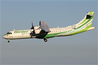 Adrin Alonso Lemes - Lanzarote Spotters. Click to see full size photo