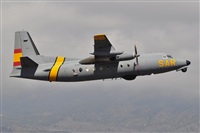 Miguel A. gueda Rguez.  (CANARY ISLANDS SPOTTING). Click to see full size photo