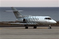 Adrin Alonso Lemes - Lanzarote Spotters. Click to see full size photo