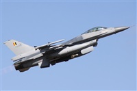 Alfonso Sols - Asociacin Canary Islands Spotting. Click to see full size photo