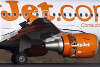 Rui Alves - Madeira Spotters. Click to see full size photo